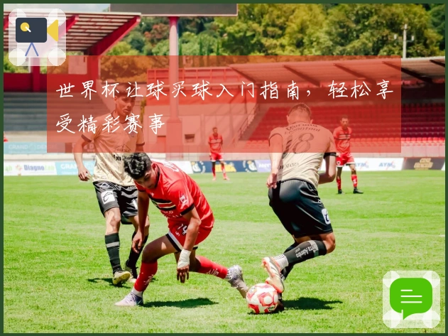 世界杯让球买球入门指南，轻松享受精彩赛事