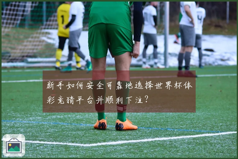 新手如何安全可靠地选择世界杯体彩竞猜平台并顺利下注？