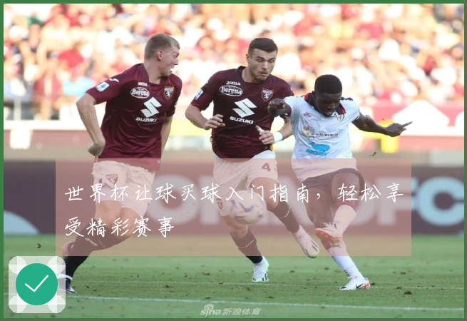 世界杯让球买球入门指南，轻松享受精彩赛事
