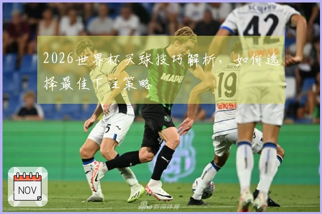 2026世界杯买球技巧解析，如何选择最佳下注策略